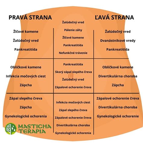 Mapa bolestí brucha podľa anatomických oblastí