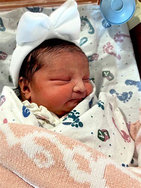 New Baby Natalie - hlavné parametre a šuplík