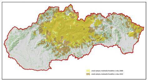 Mapa vzdelávacích ciest v gynekológii a pôrodníctve na Slovensku