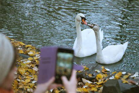 ilustračná fotografia / TASR