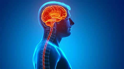 neurologické ochorenie mozgu