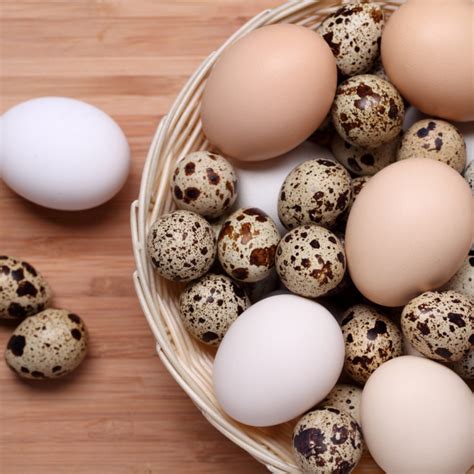 Ilustrácia rôznych druhov vajec a ich zloženie