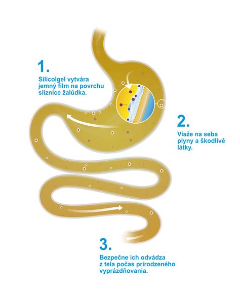 Infografika: Ako funguje adsorpcia aktívneho uhlia a jeho hlavné použitia