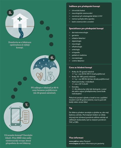 Infografika: Cesta od dojčenských zúbkov k trvalým a tipy na ústnu hygienu