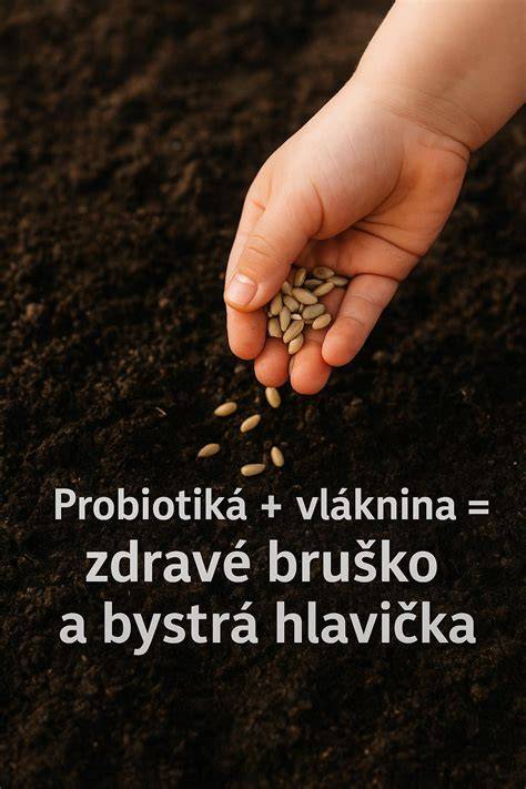 Infografika: Bilingvizmus u detí - čo hovoria výskumy
