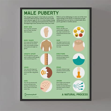 Mapa rodičovskej role v období puberty a pred pubertou