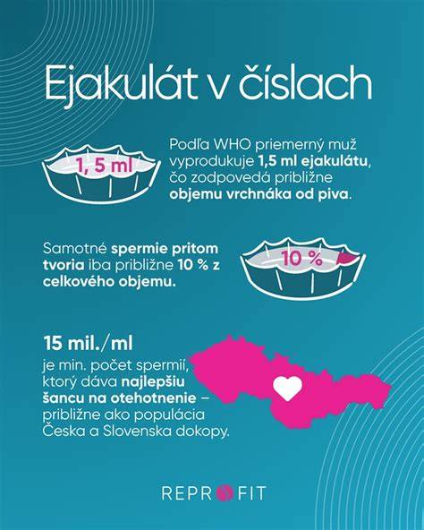 Infografika: Cesty spermií od produkcie po oplodnenie