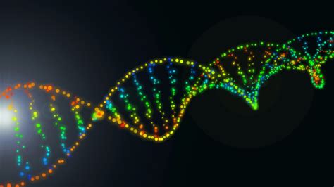 Vizualizácia mitochondriálnej DNA