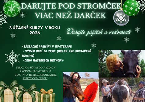 Rodičovský výcvik: význam, princípy a praktické prínosy pre rodinu