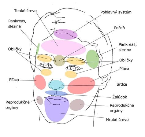 Schéma možných príčin vyrážok na hlave