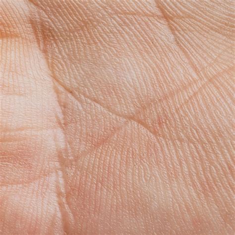 Ilustrácia detskej pokožky a jej vrstiev