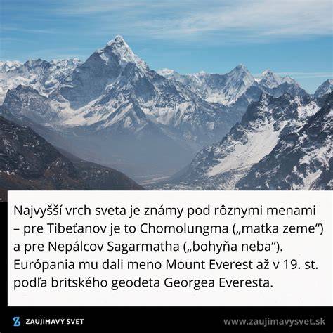 Diéta Bridget Jonesovej – recenzia a pohľad na slovenské dabingy a verzie