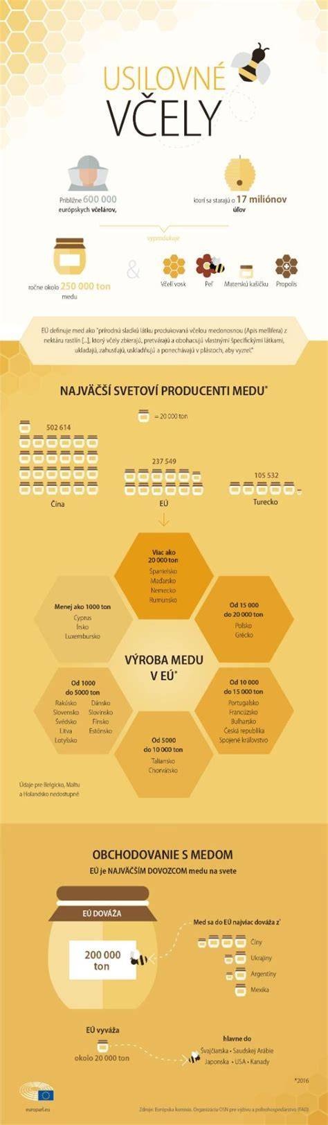 Infografika: Porovnanie cirkevnej a štátnej školy (kľúčové rozdiely, náboženská výchova, školský deň)