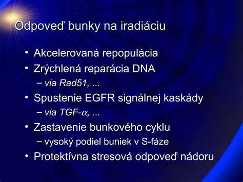 Infografika znázorňujúca priebeh bunkového cyklu s označením fáz a karyokinézy versus cytokinézy