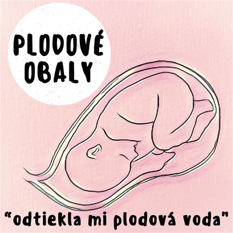 Plodové obaly a ich funkcia