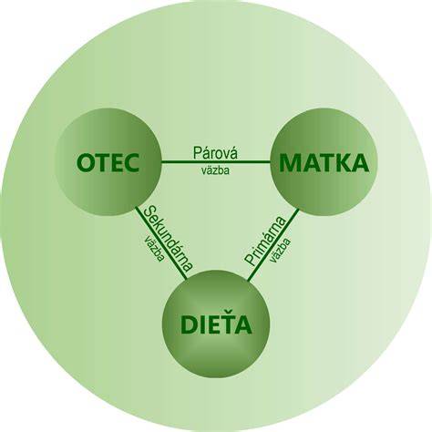 Ilustrácia trojuholníka: dieťa, matka, otec a ich vzťahy