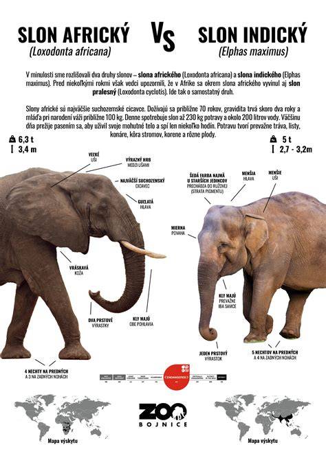 Infografika: Vzťah medzi postavením chránenej osoby a kvalifikovanou skutkovou podstatou