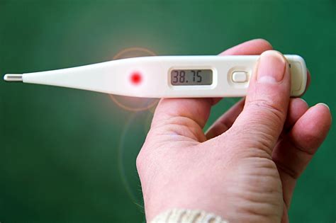 Infografika: Schéma termoregulácie tela a rozdiel medzi zvýšenou teplotou a horúčkou