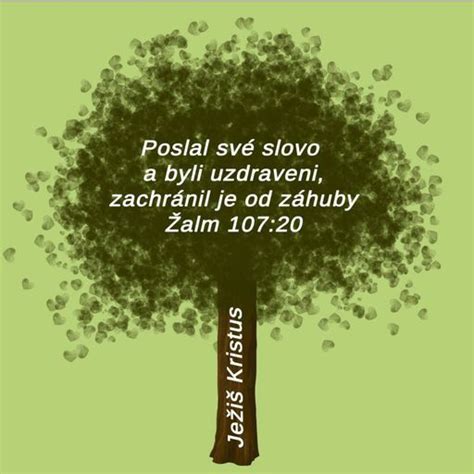 Dieta je poklad najvzácnejší význam citátu
