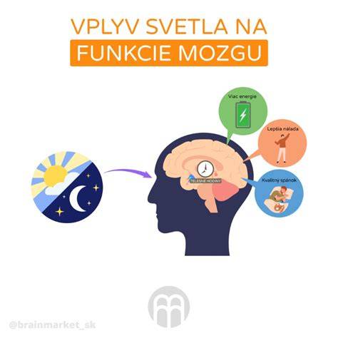 Infografika: Vplyv rastlinných diét na kognitívne funkcie a BMI
