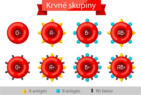 Schéma evolúcie krvných skupín a ich spojitosť so stravou