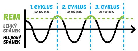 Graf zobrazujúci spánkové cykly