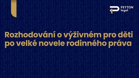 Infografika: Princípy rodinného práva a rozhodovania o styku