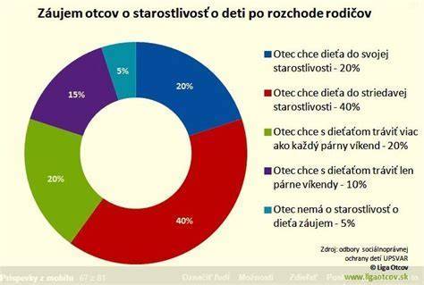 Infografika: Stupne starostlivosti o dieťa a možné inštitúcie