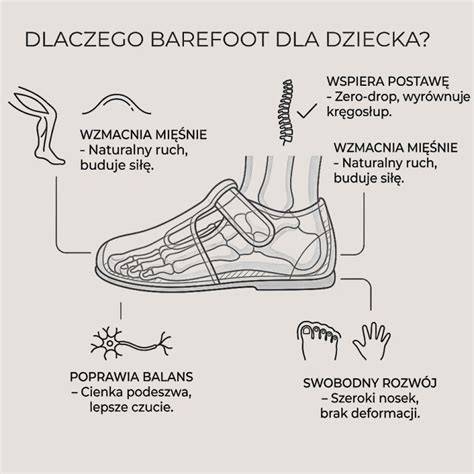 Infografika: Porovnanie bežnej topánky a barefoot topánky (ohybnosť, váha, šírka špičky)