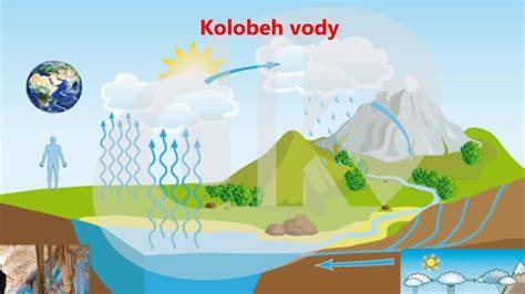 Infografika: Kolobeh vody v tele a význam hydratácie