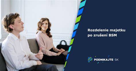 Infografika: Rozdelenie majetku počas rozvodu a BSM
