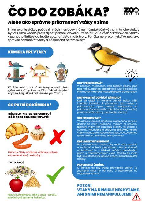 Infografika: Cesta etikety - čo všetko obsahuje