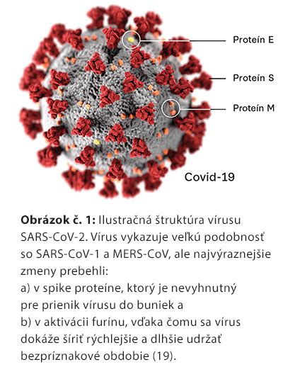 Ilustrácia imunitného systému