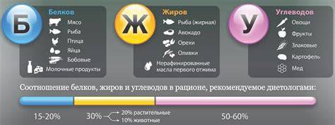 Infografika: Základné princípy pankreatickej diéty - pomer tukov, bielkovín a sacharidov, povolené a zakázané potraviny