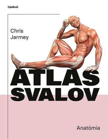 Infografika: anatomia zhybu a zapojenie svalov