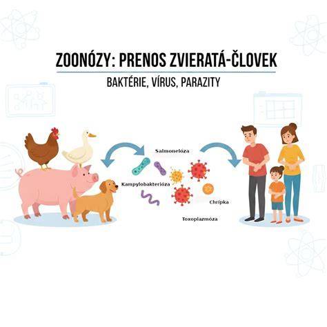 Infografika: Cesty šírenia a ochranné opatrenia pri vírusových ochoreniach detí