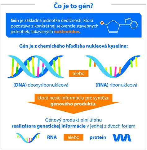 Genetické chromozómy