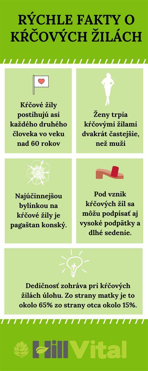 Infografika: Ako fungujú žilové chlopne a príznaky kŕčových žíl