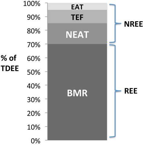 Graf: Energetický výdaj a jeho zložky (BMR, NEAT, TEF, EAT)