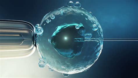 Schéma hormonálnej stimulácie pri IVF