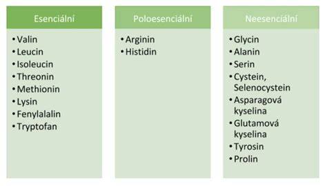 Infografika: Esenciálne aminokyseliny v rastlinných zdrojoch a ich kombinácie