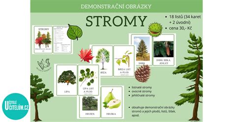 Stromy ako symbol života a energie