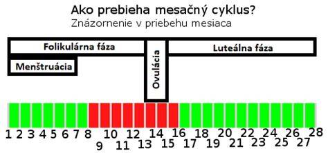 Infografika: Časti menštruačného cyklu a doplnky na podporu ovulácie