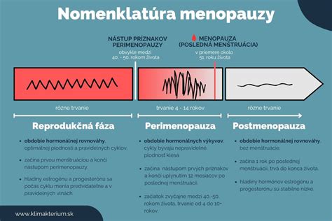 Infografika ženského reprodukčného systému
