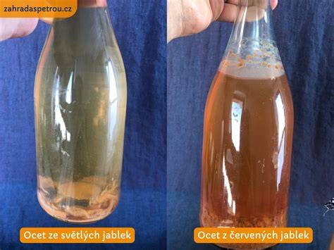 Infografika: bezpečné použitie octu v domácnosti pri deťoch