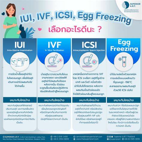 Infografika: Priebeh IVF/ICSI, IUI, a MESA/TESE vyšetrení