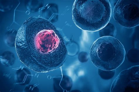 Embryo, kmeňové bunky a výskum asistovanej reprodukcie: prehľad, etika a súčasné možnosti