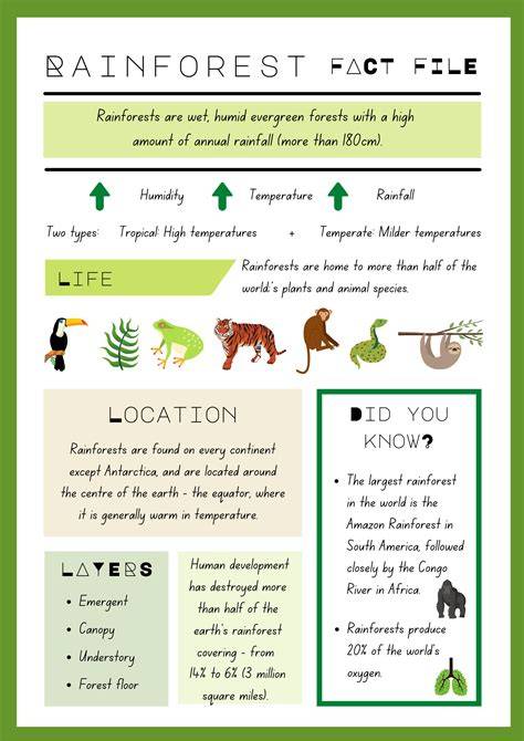 Rainforest_3v1_infographic.png