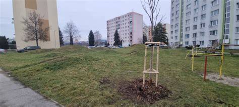 Fontanely a ich vizuálne umiestnenie na lebke