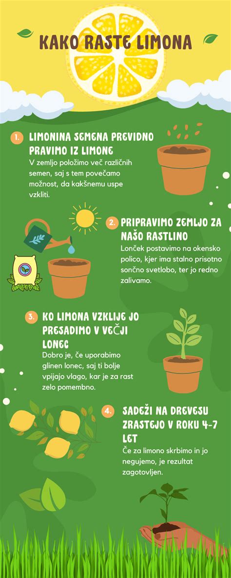 Infografika: Monitorovanie plodovej životaschopnosti